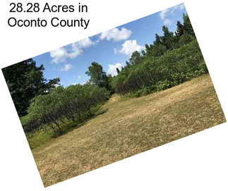 28.28 Acres in Oconto County