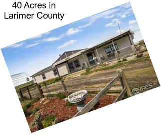 40 Acres in Larimer County