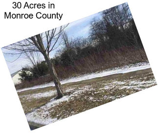 30 Acres in Monroe County