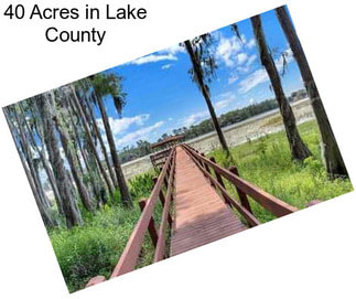 40 Acres in Lake County
