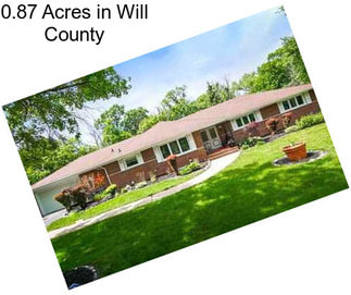 0.87 Acres in Will County