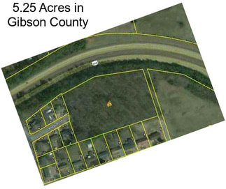 5.25 Acres in Gibson County