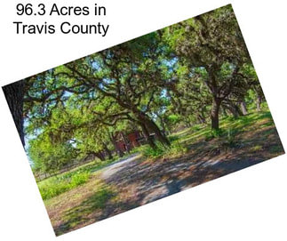 96.3 Acres in Travis County