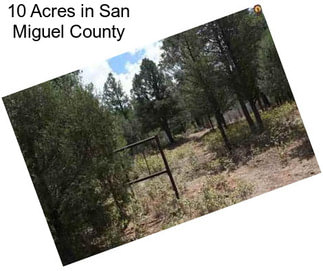 10 Acres in San Miguel County