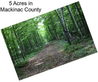 5 Acres in Mackinac County