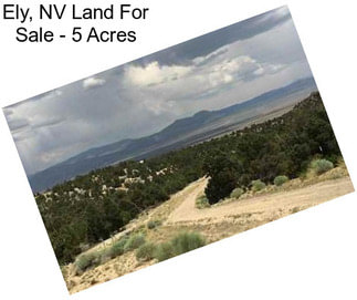 Ely, NV Land For Sale - 5 Acres