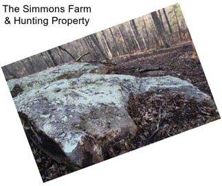 The Simmons Farm & Hunting Property