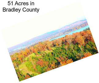 51 Acres in Bradley County