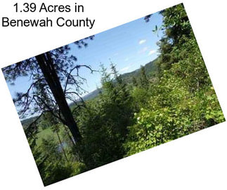 1.39 Acres in Benewah County