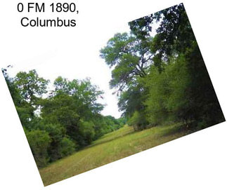 0 FM 1890, Columbus