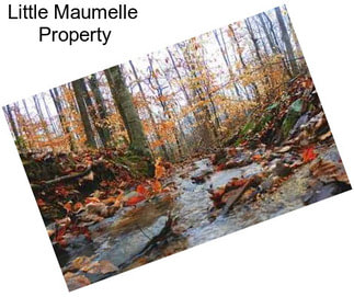 Little Maumelle  Property