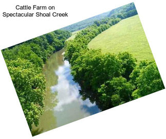 Cattle Farm on Spectacular Shoal Creek