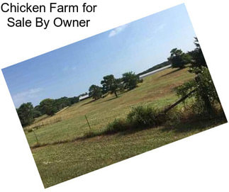 Chicken Farm for Sale By Owner