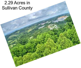 2.29 Acres in Sullivan County