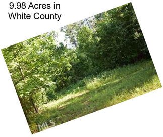 9.98 Acres in White County