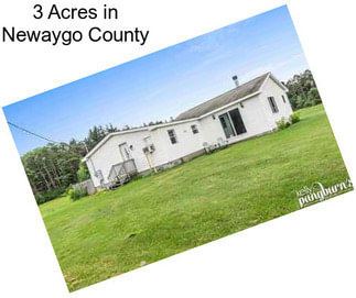 3 Acres in Newaygo County