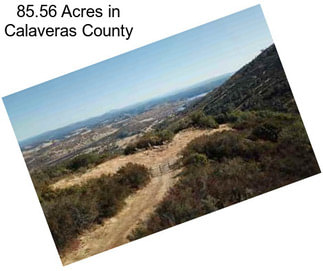 85.56 Acres in Calaveras County