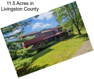 11.5 Acres in Livingston County