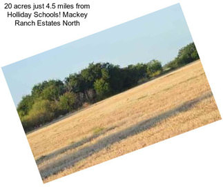 20 acres just 4.5 miles from Holliday Schools! Mackey Ranch Estates \