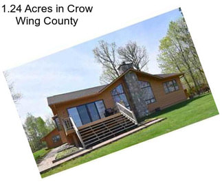 1.24 Acres in Crow Wing County