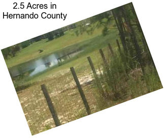 2.5 Acres in Hernando County