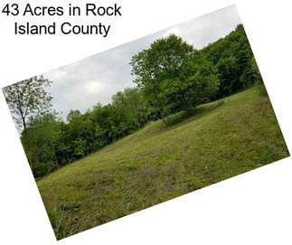 43 Acres in Rock Island County