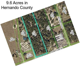 9.6 Acres in Hernando County