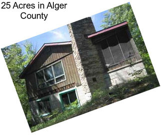 25 Acres in Alger County