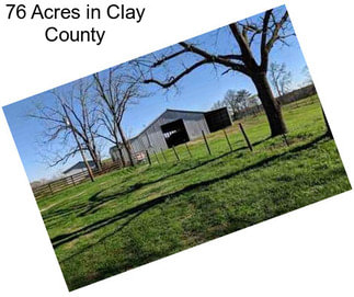 76 Acres in Clay County