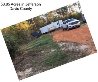 58.85 Acres in Jefferson Davis County