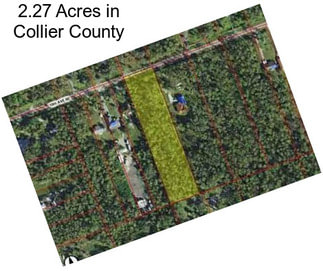 2.27 Acres in Collier County