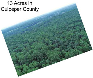 13 Acres in Culpeper County