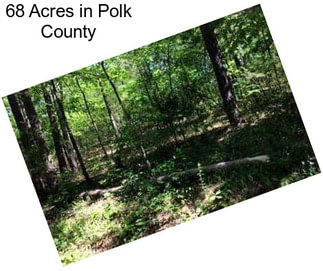 68 Acres in Polk County
