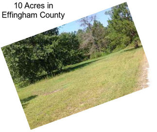 10 Acres in Effingham County