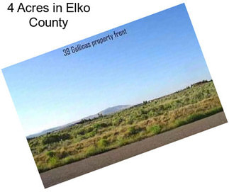 4 Acres in Elko County