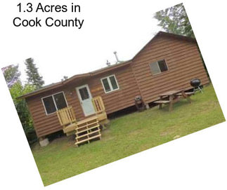 1.3 Acres in Cook County