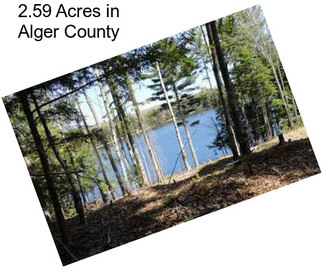 2.59 Acres in Alger County