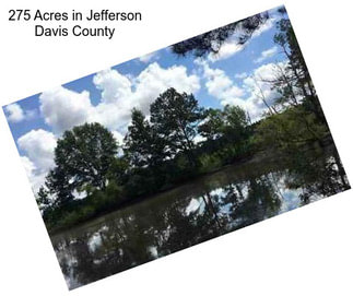 275 Acres in Jefferson Davis County