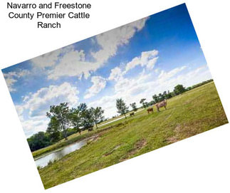Navarro and Freestone County Premier Cattle Ranch