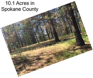 10.1 Acres in Spokane County
