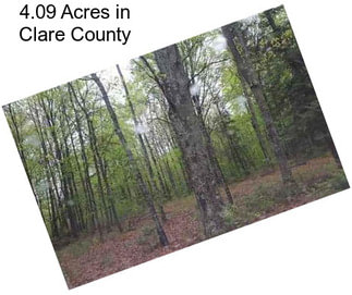 4.09 Acres in Clare County