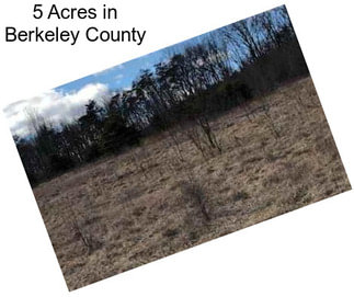 5 Acres in Berkeley County