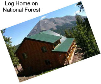 Log Home on National Forest