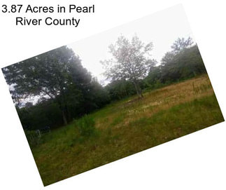 3.87 Acres in Pearl River County