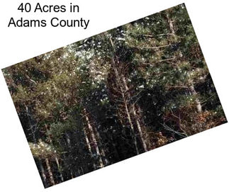 40 Acres in Adams County