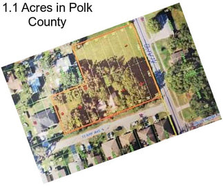 1.1 Acres in Polk County