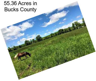 55.36 Acres in Bucks County