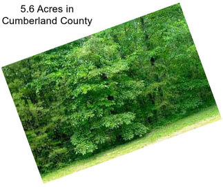 5.6 Acres in Cumberland County