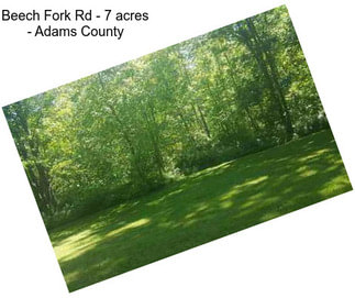 Beech Fork Rd - 7 acres - Adams County