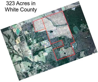 323 Acres in White County